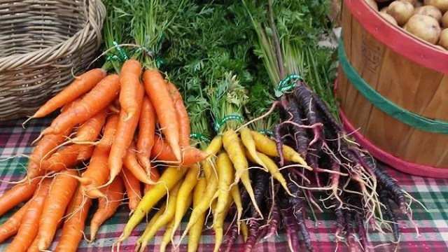 13876624_1767115080178490_7442542477994053590_n-2