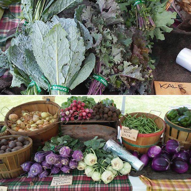 14100420_1773274316229233_5240162170637210547_n