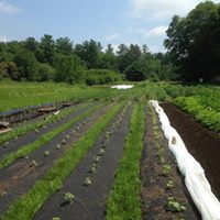 20228251_1340642446055861_1139903738028960936_n