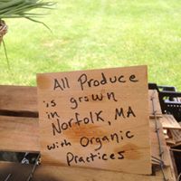 20479988_1348272671959505_3814029985403616199_n