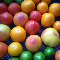 20664656_1361282913991814_7269006873414354287_n