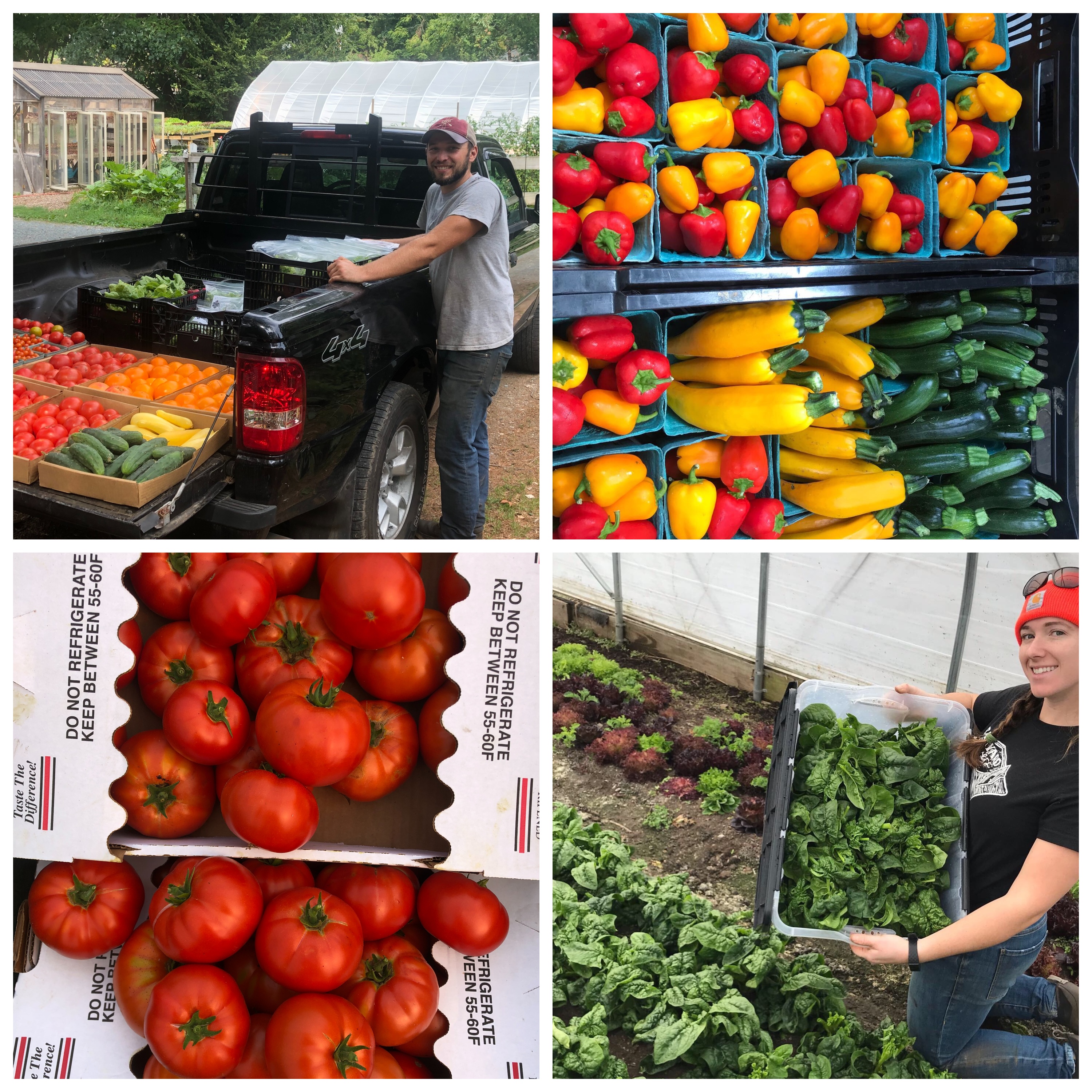 Zeiglers Market Garden