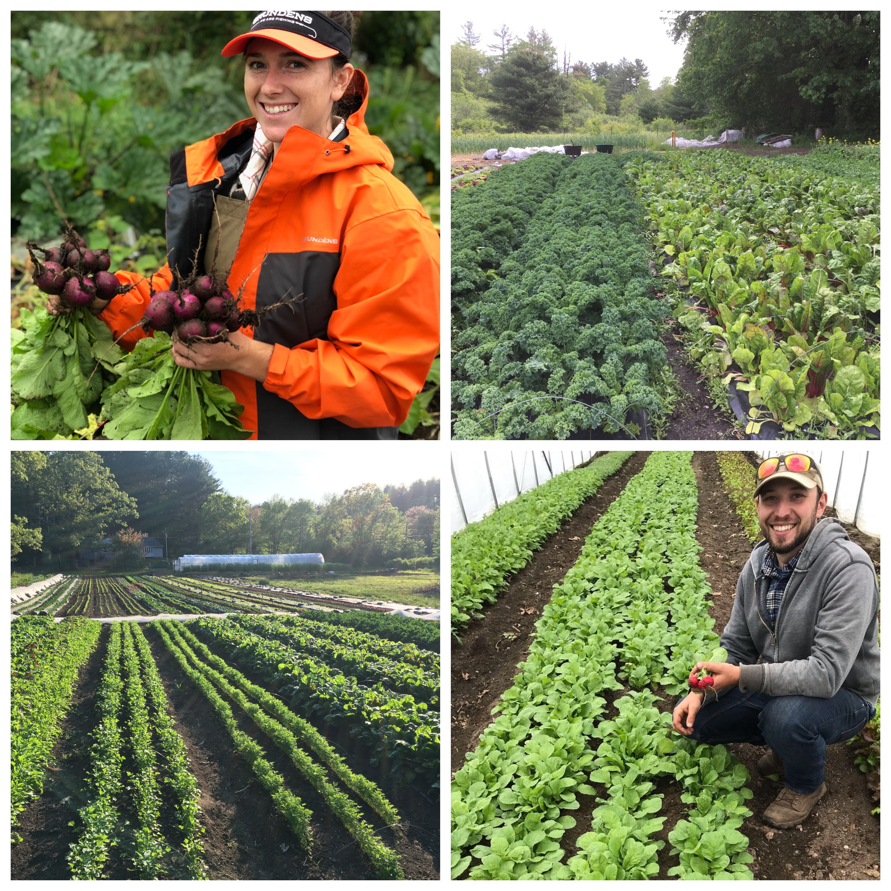 Zeiglers Market Garden